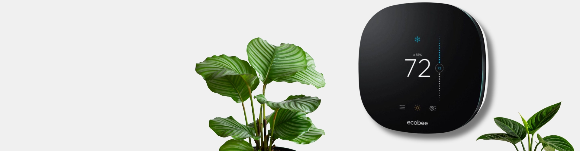 Person Interacting with their smart thermostat